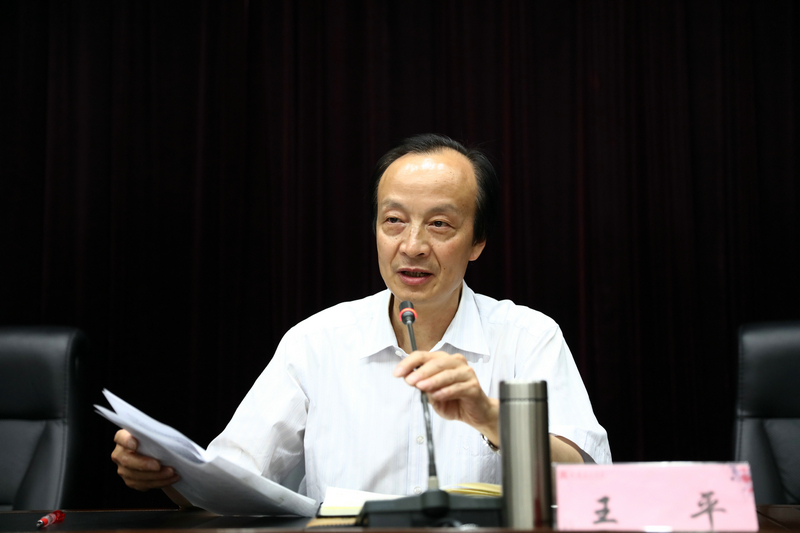 纪委书记王平讲话